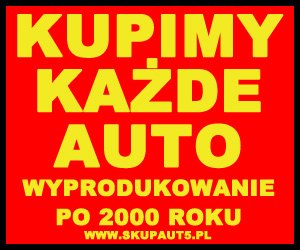 Skup Aut Używanych Za Gotówkę Mikołów - dostawczych osobowych busów -