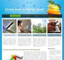 strona internetowa-przykład